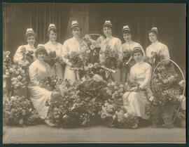 St. Joseph's Hospital School of Nursing, Chatham, Ont. fonds